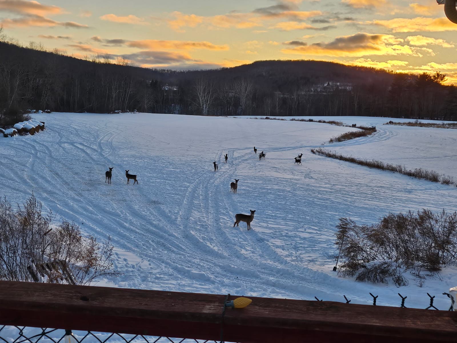 Mountain cabin retreat 1