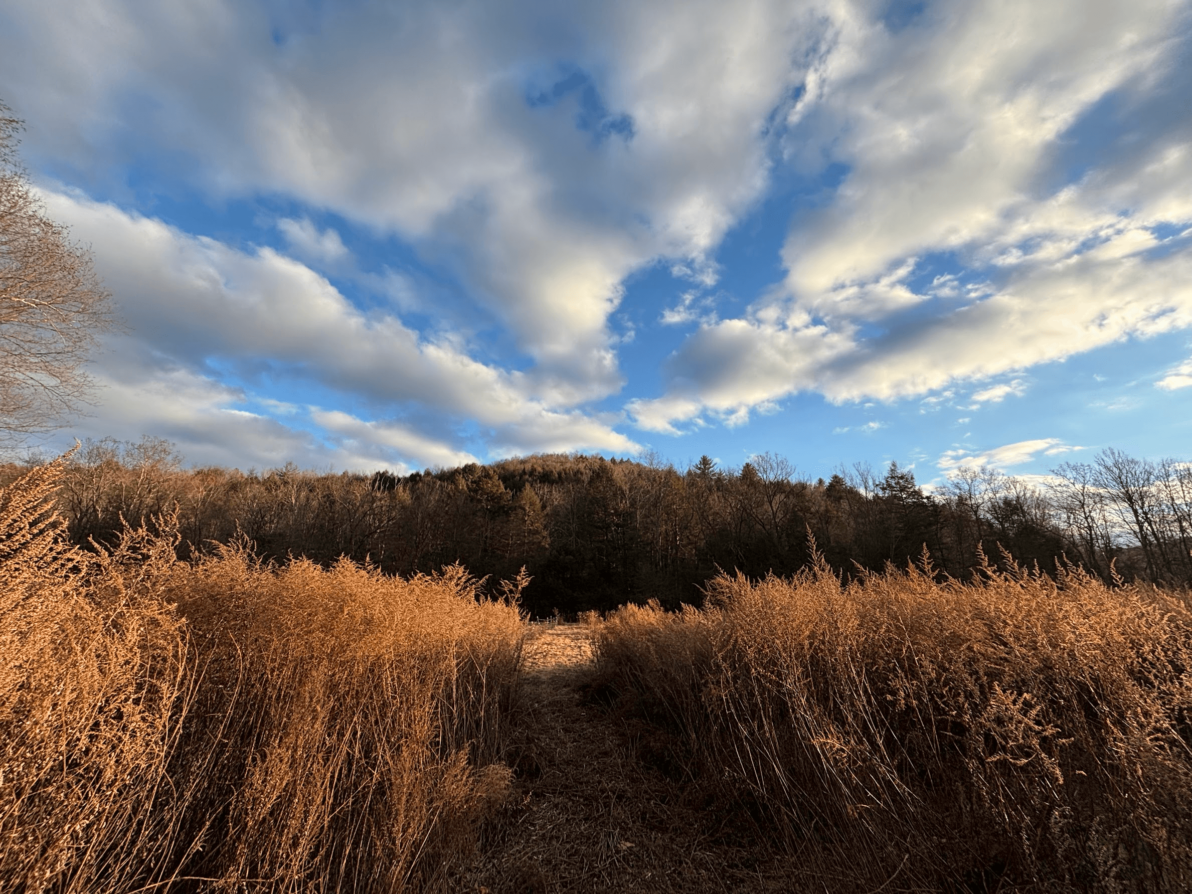 Mountain cabin retreat 2