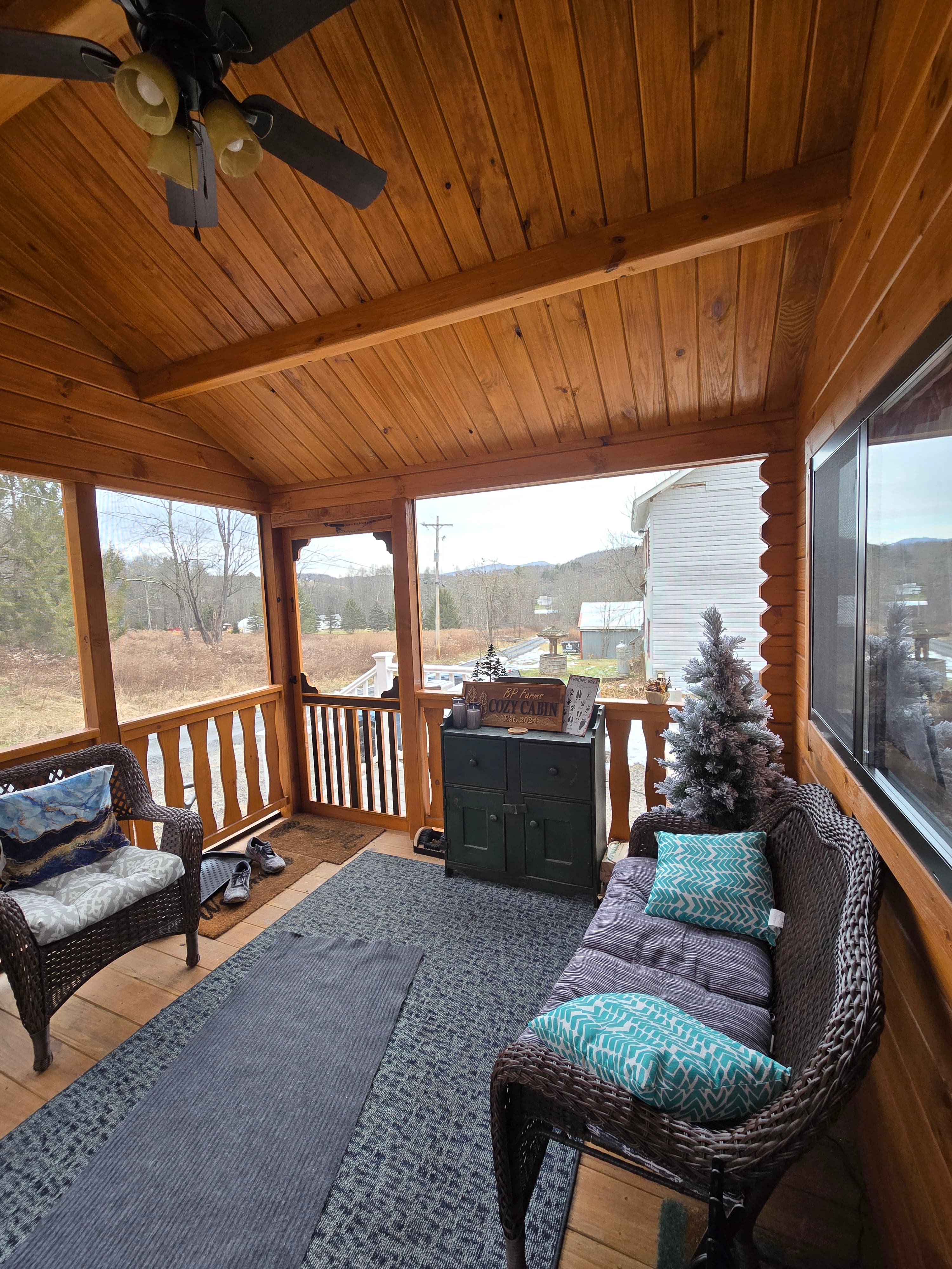 Cozy Cabin Cabin & Surroundings 3