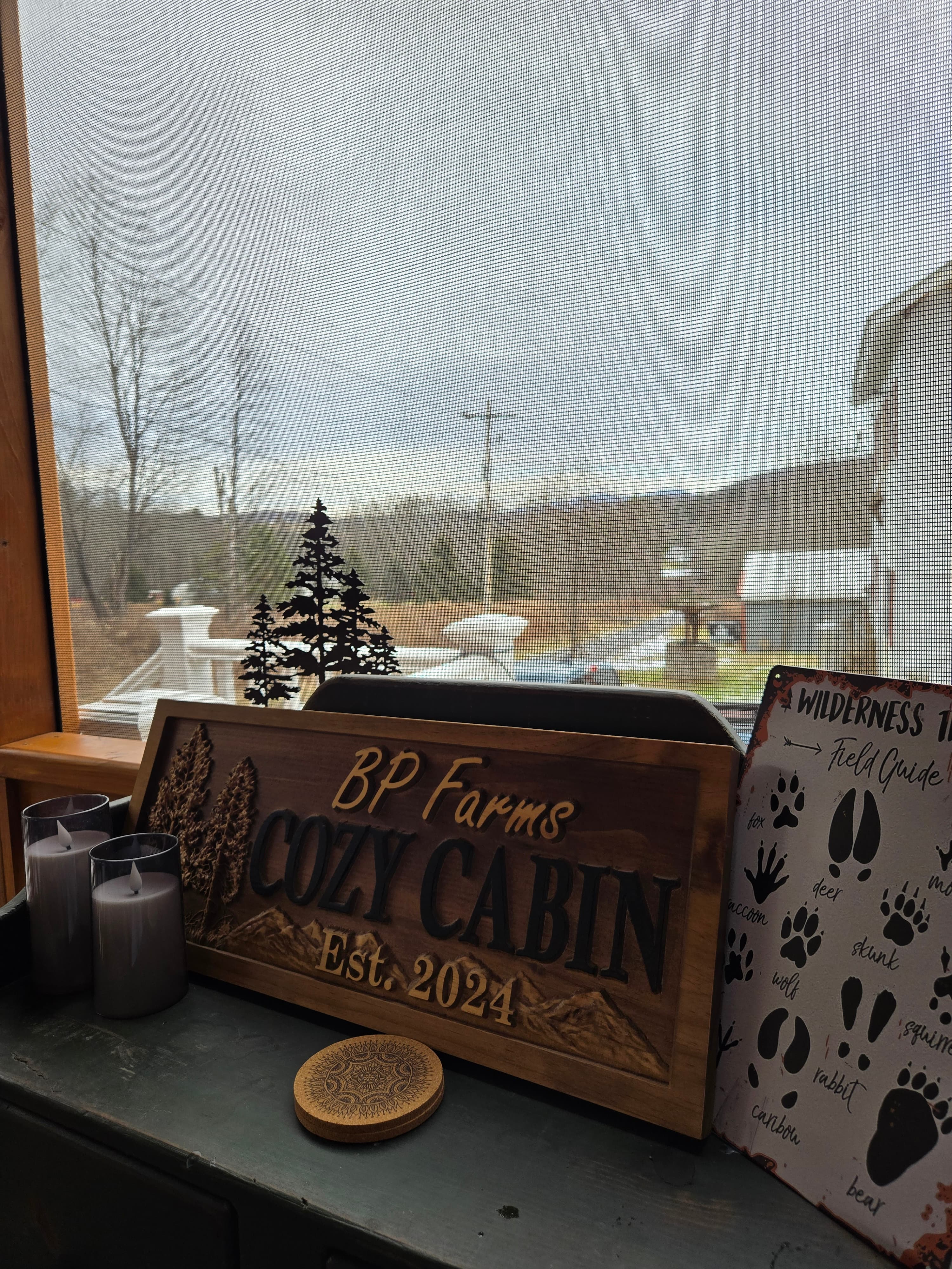 Cozy Cabin Cabin & Surroundings 1