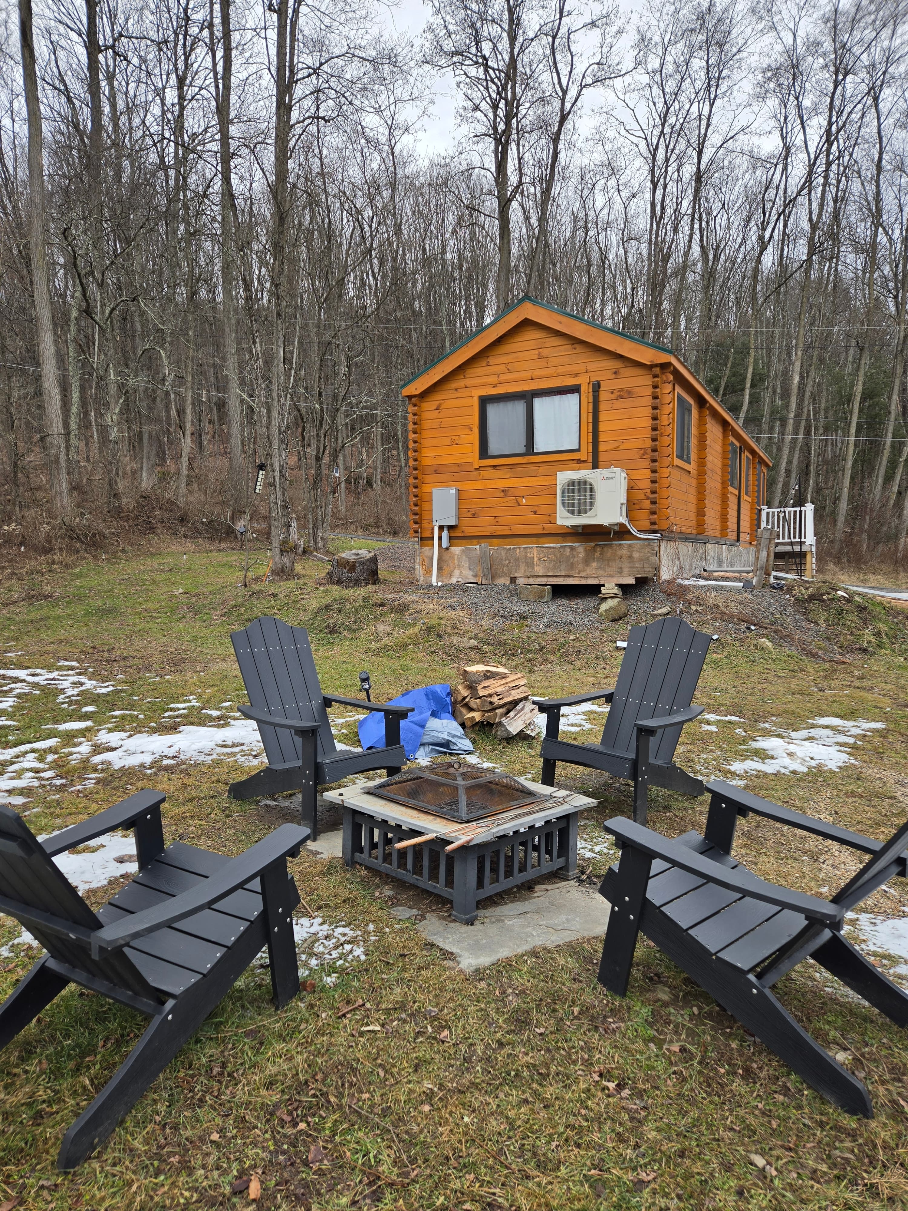 Cozy Cabin Cabin & Surroundings 5