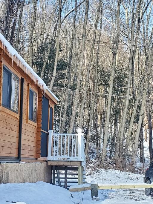 Cozy Cabin Cabin & Surroundings 11