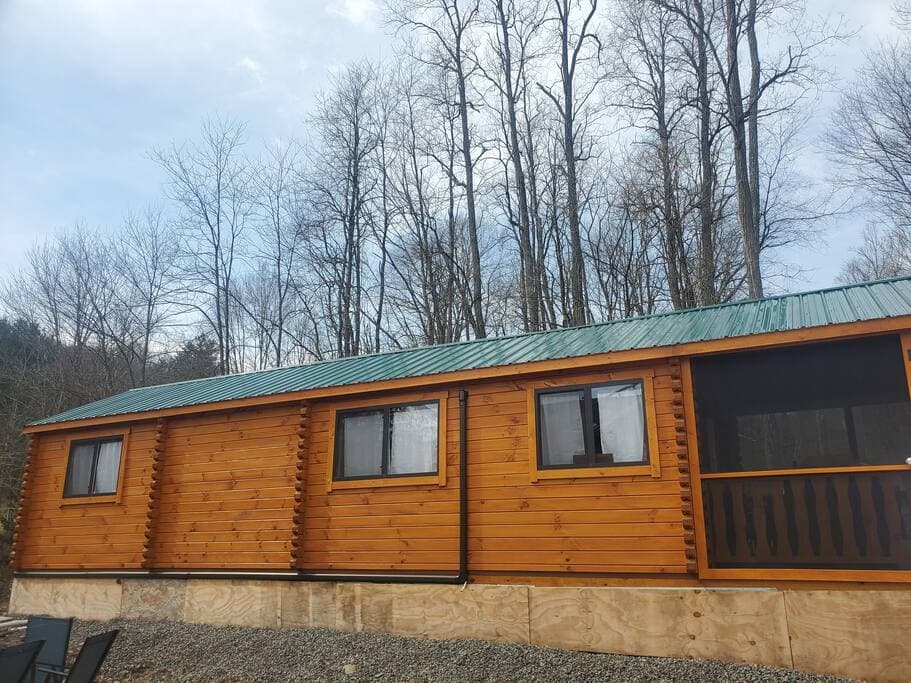 Cozy Cabin Cabin & Surroundings 13