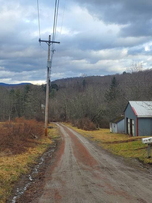 Cozy Cabin Cabin & Surroundings 20