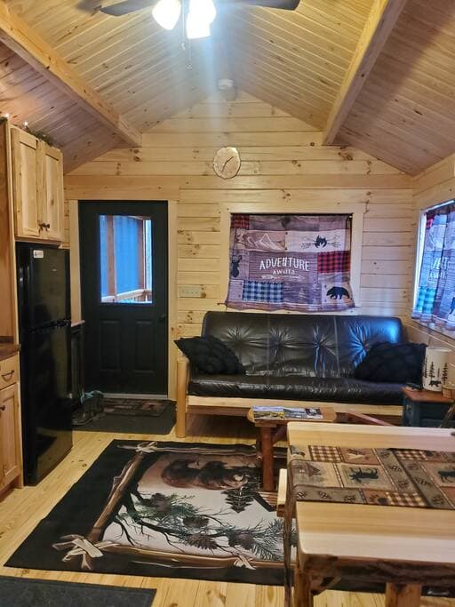 Cozy Cabin Living Spaces 3