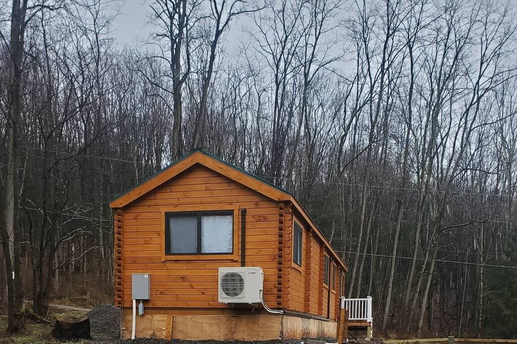 Cozy Cabin Cabin & Surroundings 11