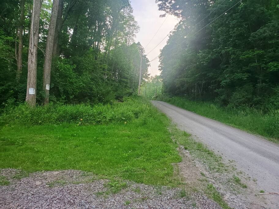 Cozy Cabin Cabin & Surroundings 22