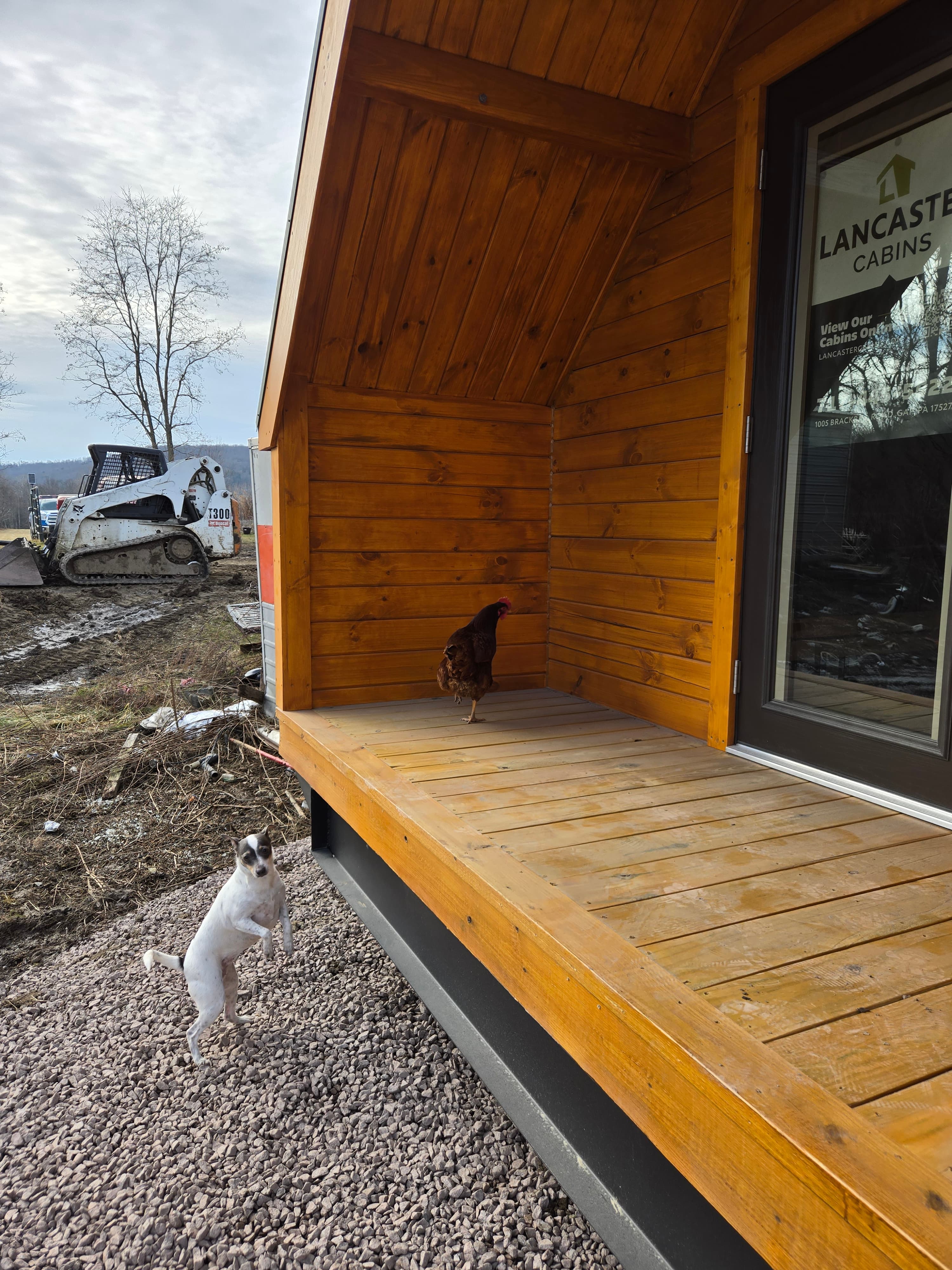 Rustic Creek Cabin & Surroundings 5