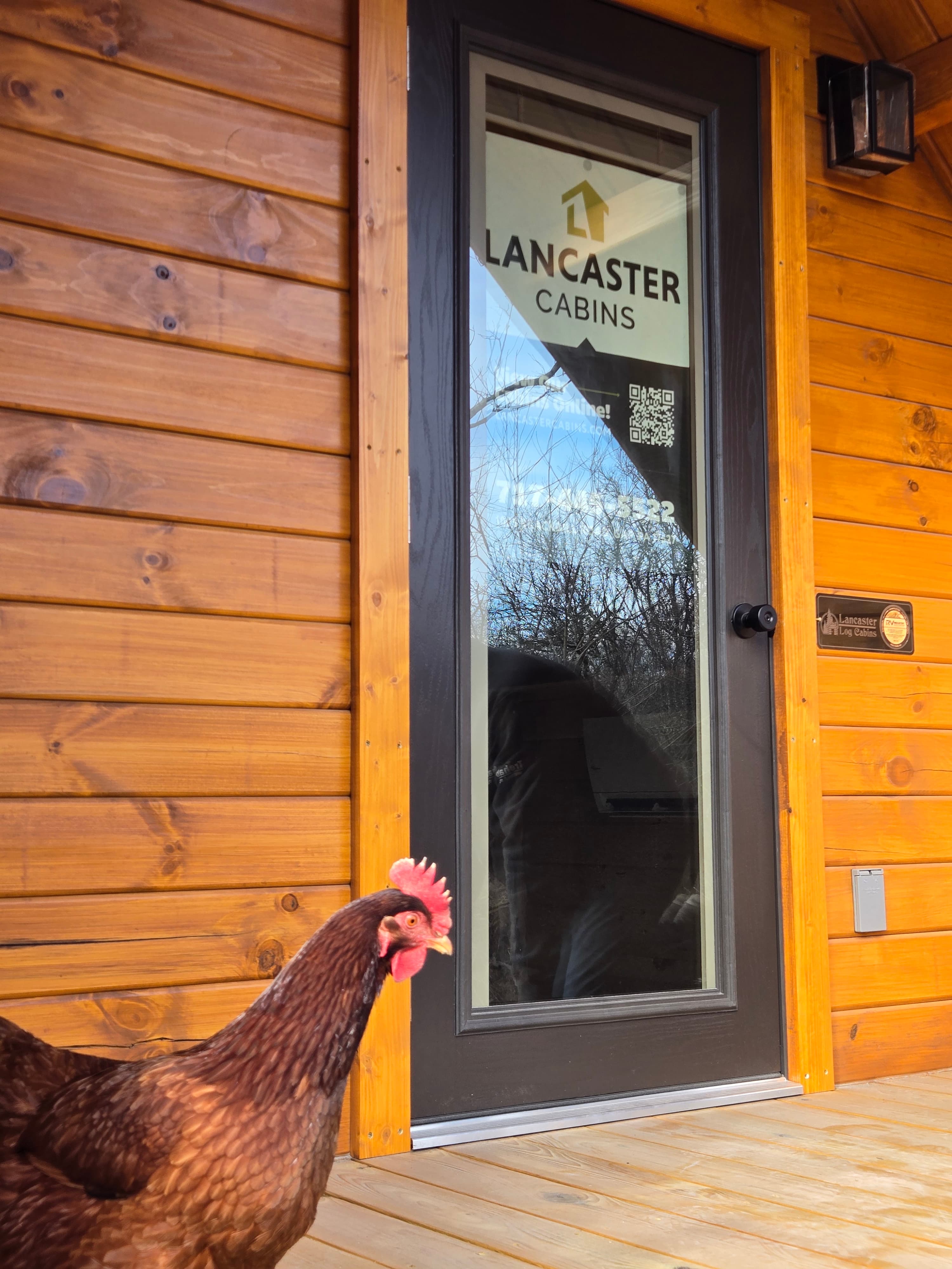 Rustic Creek Cabin & Surroundings 7